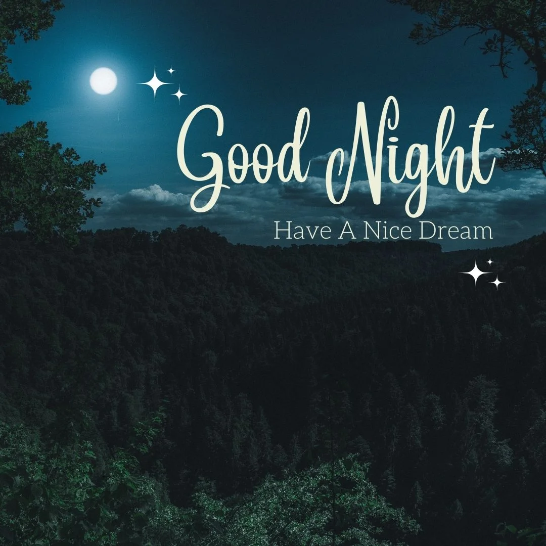 100+ Good night Quote Images frew to download 51